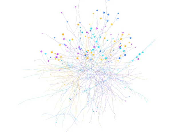 un connectome réel, dessiné par le canevas