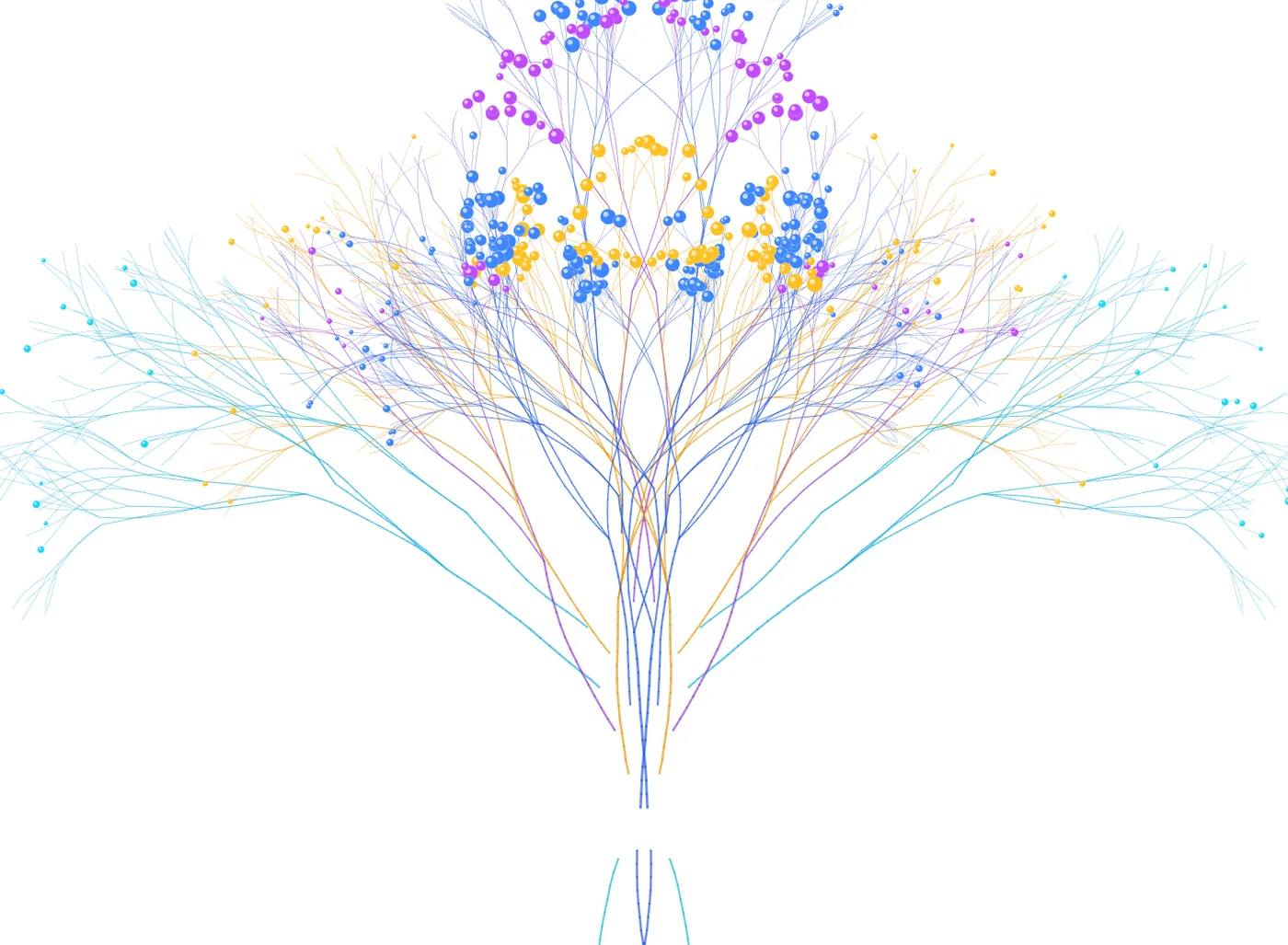 connectome