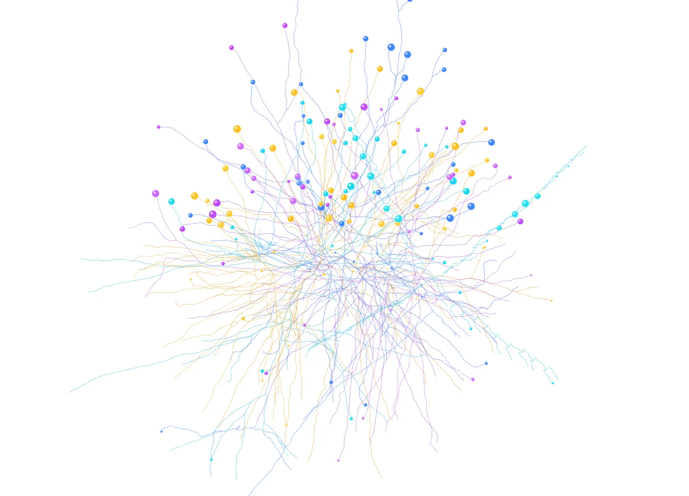 connectome real